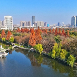 合肥市构建“一主三辅”主要空间格局 市国土空间总体规划来了 ... ... ... ...