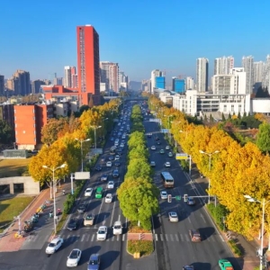 安徽最硬核的跃升