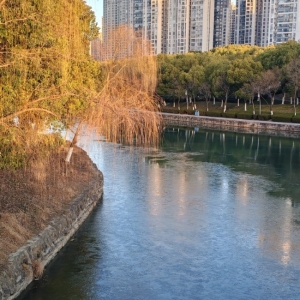 ﻿合肥匡河结冰了 安徽43站点最低温低于-8℃