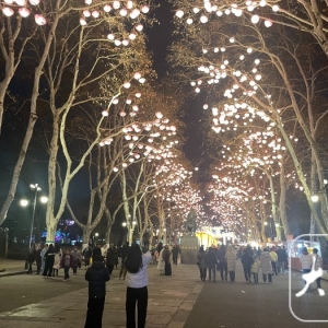 春节假期 合肥逍遥津灯会接待游客约15万人次