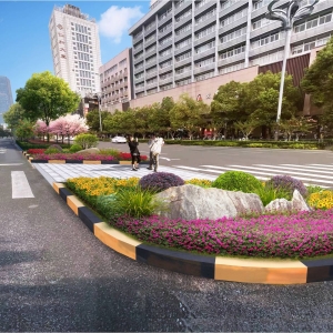 合肥蒙城路沿线绿化恢复工程即将启动