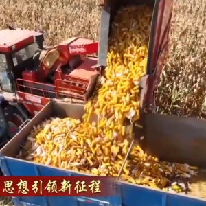 【新思想引领新征程】科技加力赋能 绘就农业现代化新图景