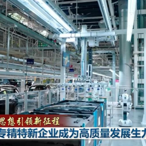 【新思想引领新征程】让专精特新企业成为高质量发展生力军 ...