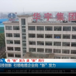 无为：科技创新 引领电缆企业向“新”发力