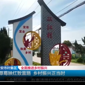 六安：草莓映红致富路 乡村振兴正当时