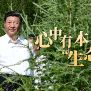 总书记关心的事丨心中有本“生态账”