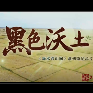 绿水青山间｜黑色沃土