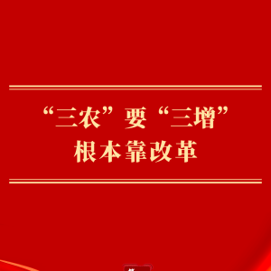 第一观察｜“三农”要“三增”　根本靠改革