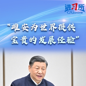 【讲习所·奋进的春天】“雄安为世界提供宝贵的发展经验”