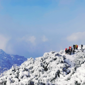 雪后黄山美如画