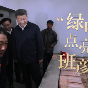 总书记关心的事丨“绿电”点亮班彦村