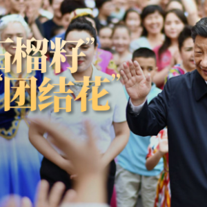 总书记关心的事丨种下“石榴籽” 开出“团结花”