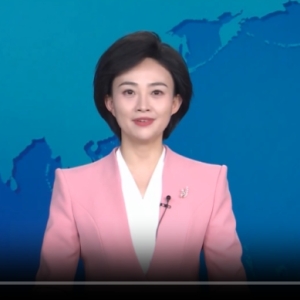 梁言顺指导合肥市委常委会2024年度民主生活会