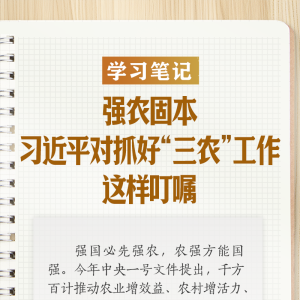 学习笔记｜强农固本，习近平对抓好“三农”工作这样叮嘱