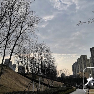 积雪深度或达10厘米！安徽北部有大雪到暴雪