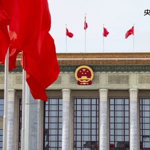 【央视快评】凝心聚力 真抓实干 团结奋进——热烈祝贺全国两会召开 ... ...