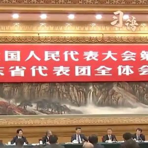 习语丨习近平总书记的两会之“喻”