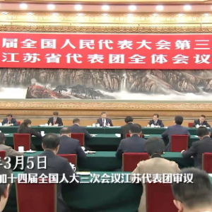 时政两会说丨服务大局 勇挑大梁——总书记同全国人大代表共商国是 ...