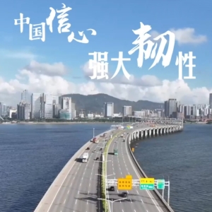 中国信心·强大韧性