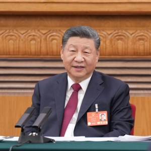 微镜头·习近平总书记两会“下团组” | “社会工作一定要加强” ...