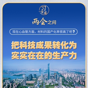 习近平的两会之问丨“现在心血管方面，材料的国产化率很高了吧？” ...