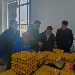 安徽乡村振兴电商联盟赴土满鲜生态农场开展调研
