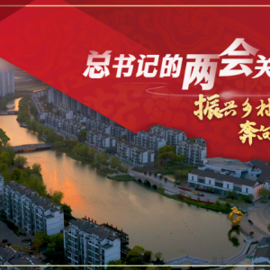 总书记的两会关切事｜振兴乡村 奔向共富