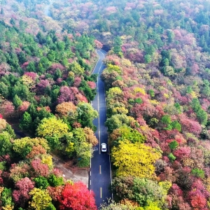 全椒山湖景观大道入选“公路+旅游”融合发展“十佳案例”