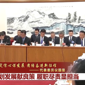 代表委员议国是丨谋划发展献良策 履职尽责显担当