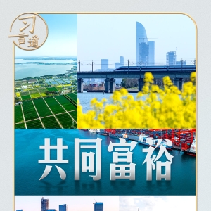 习言道｜全国两会，习近平再谈共同富裕