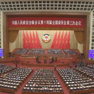 全国政协十四届三次会议闭幕 习近平等出席