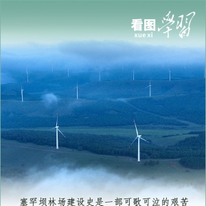 看图学习丨从“焦桐”到“谷树” 总书记强调生态文明建设靠物质也靠精神 ... ...
