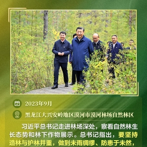 跟着总书记足迹“瞰”林海