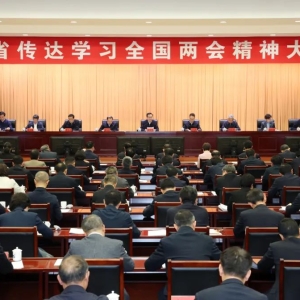 高质量完成“十四五”规划目标任务 为全国发展大局贡献更多安徽力量 ... ... ...