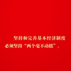金句｜坚持和落实“两个毫不动摇”，总书记这样深入阐述