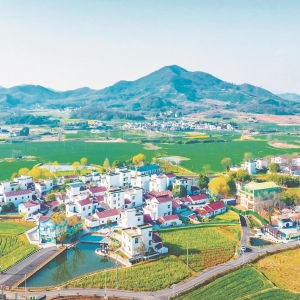 “四个基层实践”里的省委一号文件
