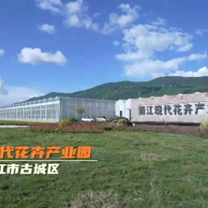 习近平云南行丨花卉产业促振兴——走进丽江现代花卉产业园 ...