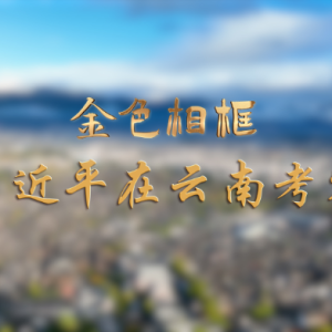 金色相框｜习近平在云南考察