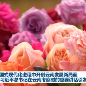在中国式现代化进程中开创云南发展新局面