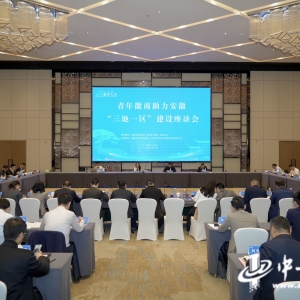 2025徽商大会｜青年徽商如何助力安徽“三地一区”建设？这场座谈会热议 ...