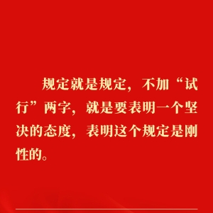 金句｜贯彻落实中央八项规定精神，总书记阐明要旨