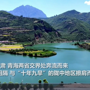 习言道｜一碗水的牵挂