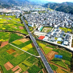 安徽歙县：繁花铺就幸福路