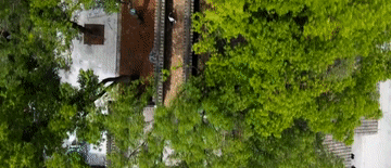 跟着总书记探寻中华文明｜桐城六尺巷：小小窄巷 “和”之大道 ... ...