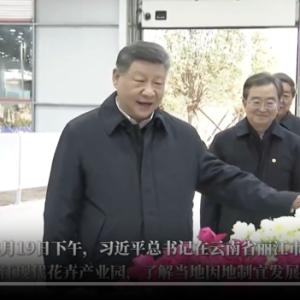 这份“美丽产业”为乡村振兴锦上添“花