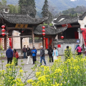 上春山丨安徽黄山：春满徽州，古村焕新颜