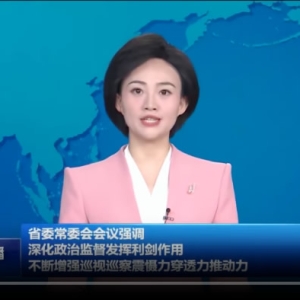 深化政治监督发挥利剑作用 不断增强巡视巡察震慑力穿透力推动力 ... ...