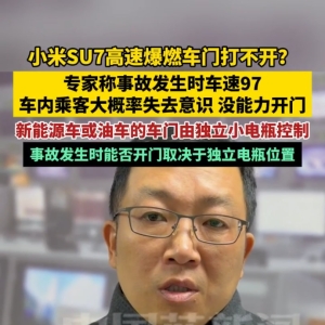 中国蓝新闻独家专访浙江省消保委汽车专家 分析小米SU7高速爆燃原因 ...