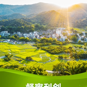 联播+｜督察利剑 守护绿水青山