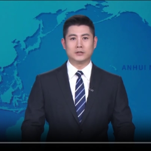 第21次全省民政会议召开 梁言顺批示 王清宪讲话